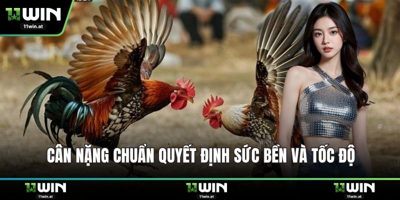 Cân nặng chuẩn quyết định sức bền và tốc độ