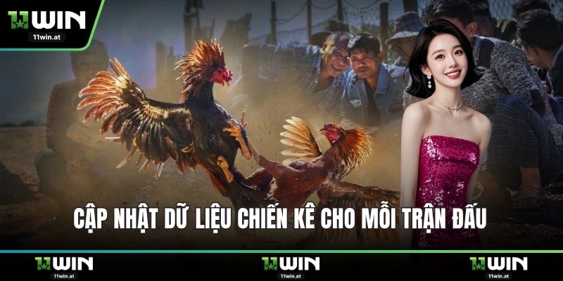 Cập nhật dữ liệu chiến kê cho mỗi trận đấu